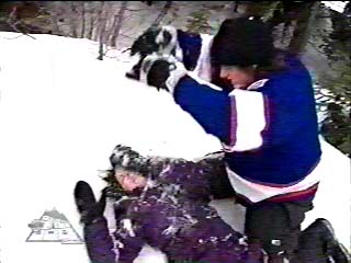 NONAME_004_000_034.jpg NONAME_004_000_034.jpg