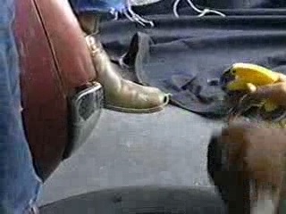 BFDKNYPS_01_0275.jpg BFDKNYPS_01_0275.jpg