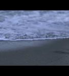 Filename=bandtpromol_002_0584.jpeg
Filesize=11KiB
Dimensions=640x360
Date added=Oct 11, 2020 bandtpromol_002_0584.jpeg