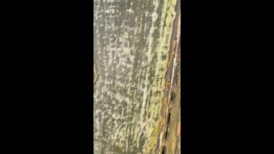 Click to view full size image
==============
bts4_001_0043.jpeg bts4_001_0043.jpeg