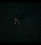 000_001_0634.jpeg