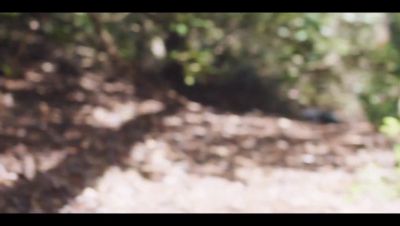 Click to view full size image
==============
000_001_0004.jpeg 000_001_0004.jpeg