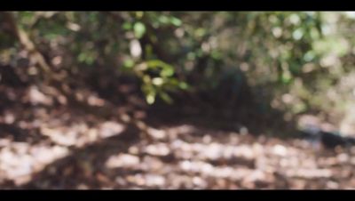 Click to view full size image
==============
000_001_0005.jpeg 000_001_0005.jpeg