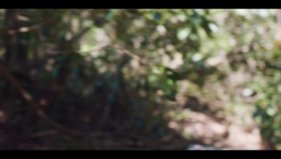 Click to view full size image
==============
000_001_0006.jpeg 000_001_0006.jpeg
