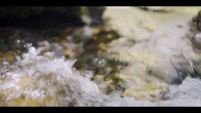 Click to view full size image
==============
000_001_0008.jpeg 000_001_0008.jpeg