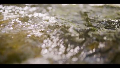 Click to view full size image
==============
000_001_0011.jpeg 000_001_0011.jpeg
