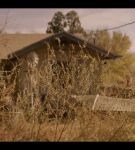000_001_0426.jpeg