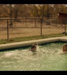 000_001_0489.jpeg