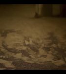 000_001_0638.jpeg