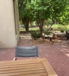 igtvbf_01_0998.jpeg