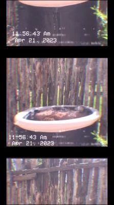 000_01_0065.jpeg