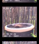 000_01_0064.jpeg