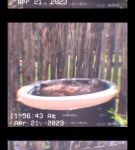 000_01_0065.jpeg