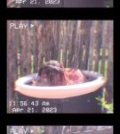 000_01_0066.jpeg