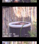 000_01_0019.jpeg