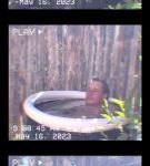 Filename=000_01_0040.jpeg
Filesize=140KiB
Dimensions=608x1088
Date added=Nov 06, 2023 000_01_0040.jpeg