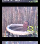 Filename=000_01_0049.jpeg
Filesize=147KiB
Dimensions=608x1088
Date added=Nov 06, 2023 000_01_0049.jpeg