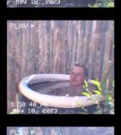 Filename=000_01_0060.jpeg
Filesize=140KiB
Dimensions=608x1088
Date added=Nov 06, 2023 000_01_0060.jpeg