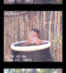 000_01_0026.jpeg
