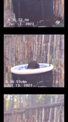 000_01_0021.jpeg