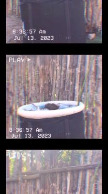 000_01_0022.jpeg