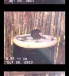 000_01_0031.jpeg