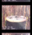 000_01_0032.jpeg