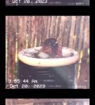 000_01_0033.jpeg