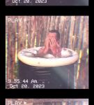 000_01_0036.jpeg
