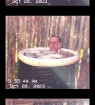 000_01_0041.jpeg