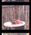 000_01_0015.jpeg
