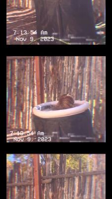 Click to view full size image
==============
000_01_0041.jpeg 000_01_0041.jpeg