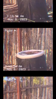 000_01_0044.jpeg
