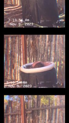 Click to view full size image
==============
000_01_0045.jpeg 000_01_0045.jpeg
