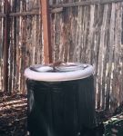 000_01_0056.jpeg