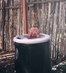 000_01_0069.jpeg