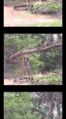 Click to view full size image
==============
000_01_0062.jpeg 000_01_0062.jpeg