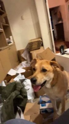 bfigl_001_3162.jpeg
