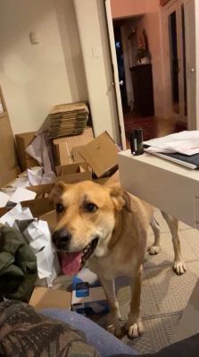 bfigl_001_3177.jpeg