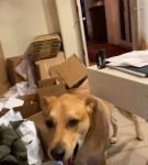 bfigl_001_3165.jpeg