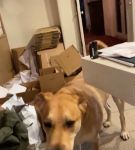 bfigl_001_3169.jpeg