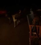 Filename=bfigl_001_1375.jpeg
Filesize=10KiB
Dimensions=608x1088
Date added=Feb 11, 2021 bfigl_001_1375.jpeg