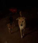 Filename=bfigl_001_1379.jpeg
Filesize=8KiB
Dimensions=608x1088
Date added=Feb 11, 2021 bfigl_001_1379.jpeg