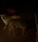 Filename=bfigl_001_1384.jpeg
Filesize=9KiB
Dimensions=608x1088
Date added=Feb 11, 2021 bfigl_001_1384.jpeg