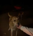 Filename=bfigl_001_1392.jpeg
Filesize=11KiB
Dimensions=608x1088
Date added=Feb 11, 2021 bfigl_001_1392.jpeg