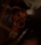 Filename=bfigl_001_1426.jpeg
Filesize=12KiB
Dimensions=608x1088
Date added=Feb 11, 2021 bfigl_001_1426.jpeg