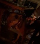 Filename=bfigl_001_1434.jpeg
Filesize=17KiB
Dimensions=608x1088
Date added=Feb 11, 2021 bfigl_001_1434.jpeg