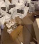 bfigl_001_0243.jpeg