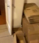 bfigl_001_0258.jpeg