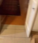 bfigl_001_0259.jpeg